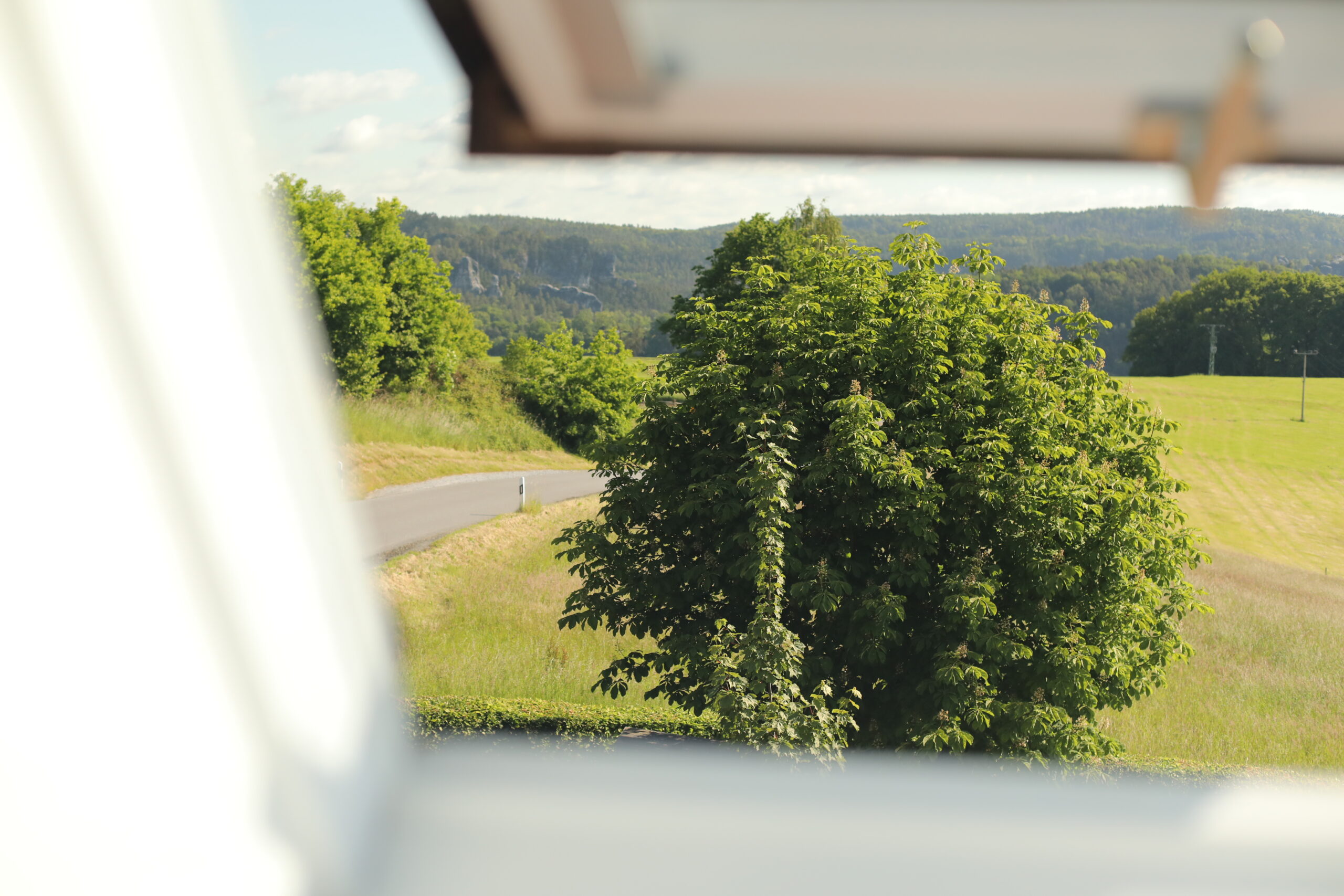 Blick aus dem Fenster ins Grüne